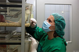 创新除臭技术，破解动物实验室异味难题，科研健康两不误