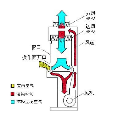 Ⅱ级A1型生物安全柜 