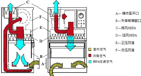 Ⅱ级A2型生物安全柜工作原理示意图