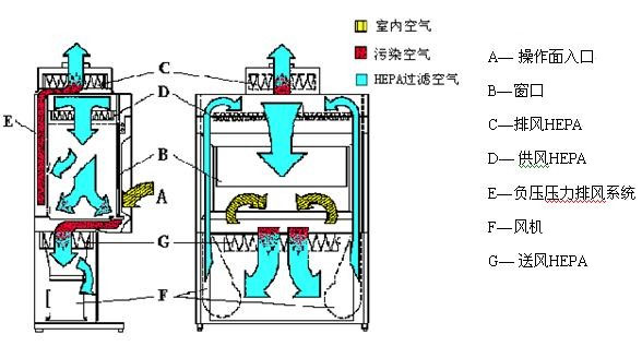 Ⅱ级B1型安全柜工作原理示意图