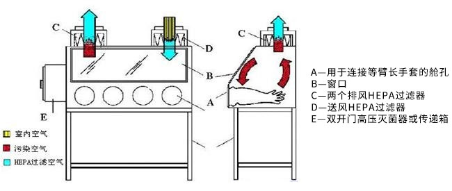  Ⅲ级生物安全柜工作原理示意图